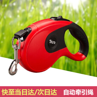 Dog walking rope automatic retractable traction rope pet outdoor dog walking chain teddy corgi pomeranian small dog anti-tension lead red 5 meters