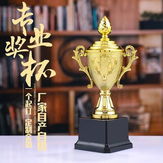 GOTOVAN奖杯奖牌冠军表演舞蹈大拇指奖励奖牌定制定做趣味运动会马拉松比赛事儿童挂牌金属金牌荣誉幼儿园 【紫荆花奖杯】带盖20.5cm