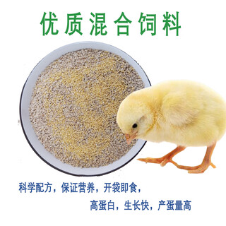 Jufuxin chicken feed opening feed ducklings and goose breeding feed rutin chicken food full price feed poultry high protein egg production 500g mixed feed