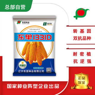 Dongdan 1331d double-resistant corn seed resistant to corn borer and armyworm glyphosate-resistant herbicide 5000 capsules directly from fuyou headquarters