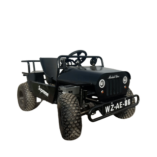 Raft core drift car, adult can ride off-road kart, electric beach car, four-wheel children's playground, all-terrain outdoor motorcycle, 2025 latest kart, private custom model