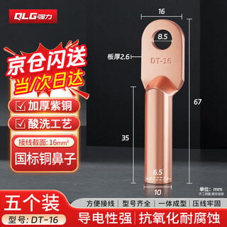 Qiangqiang (qlg) copper nose dt-16 square copper terminal wire nose pickling oil-blocking copper nose national standard cable connector 5 pieces/pack