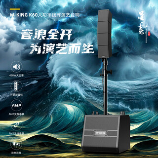 Weijing weijing k60 high power 490w outdoor stage indoor performing arts audio musical instrument playing and singing band bluetooth audio black