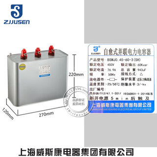 Viscon electric reactive power compensation power capacitor 0.45 -10 15 20 25 30 40-3 bsmj0.45-60-3