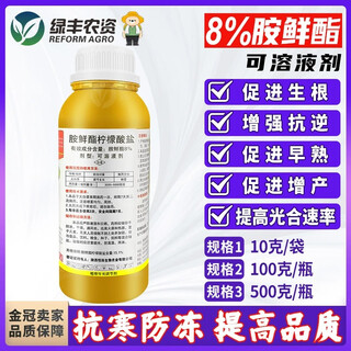 8% aminobutanol citrate soluble agent for fruit and vegetable rooting to increase yield, anti-freeze preservation of flowers and fruits, plant growth regulator 100g*1 bottle