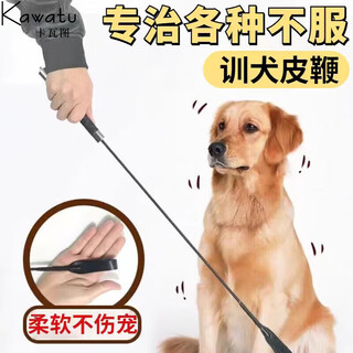 Kavatu dog training stick, dog training stick, dog training stick, pet dog training whip, large and small dog whip, snap whip equipment, pet supplies