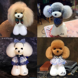 Mr. jiang hao teacher jiang pet beautician practices teddy vip fake hair model head hair whole body new head model*1 teddy head hair*1