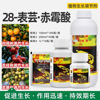 Whole tree fruit-brassinoids gibberellic acid longan lychee citrus fruit trees promote flower preservation and fruit expansion plant growth regulator 100ml