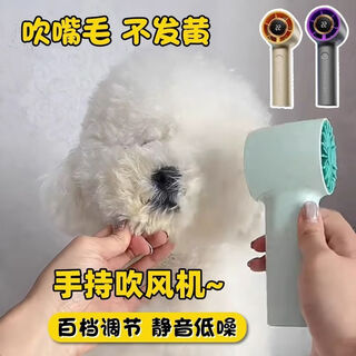 Rong hengde dog hair hair dryer pet bichon special facial hair dryer mini silent handheld wireless gray three-speed wind speed 4000ma natural wind temperature