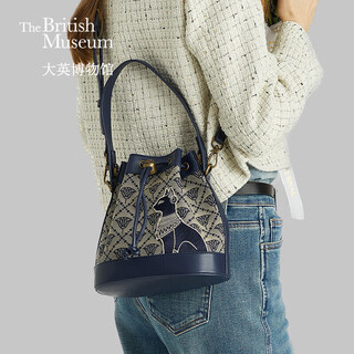 British museum anderson cat bag women's jacquard bucket bag light luxury crossbody handbag as a birthday gift for girls