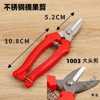 Mielanat thickened stainless steel gardening scissors, specially designed for picking navel oranges, apples and tomatoes, stainless steel fruit picking and repairing scissors