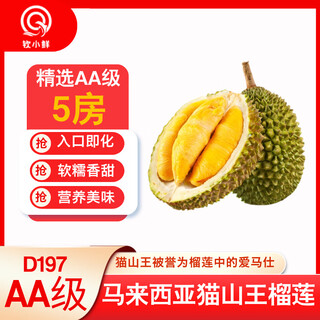 Qin xiaoxian malaysian musang king durian d197 tree ripe liquid nitrogen frozen fresh fruit imported holiday gift shell aa grade premium fruit 5-5.5 jin jin is equal to 0.5 kg (can open 4-5 rooms)