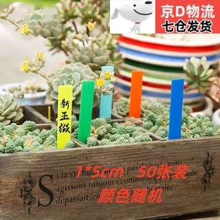 Beautiful gardening label card-type flower pot label flower small label succulent plant plastic waterproof succulent label card ground label 50 pack random color