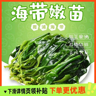 Fresh kelp sprouts and tender kelp commercial xiapu fresh salted kelp sprouts hot pot ingredients are rich, nutritious and delicious 500g 5jin jin is equal to 0.5 kilograms of kelp sprouts (500g*5 packs)