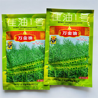 Hanfei oil 1701 agricultural oil 68 rapeseed seed high yield, high oil, low stem, cold resistant and disease resistant brassica rapeseed (23) tiger balm 80g
