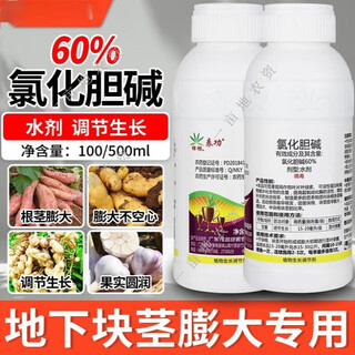 60% choline chloride garlic ginger onion sweet potato peanut potato ginseng medicinal ginger underground rhizome enlarger 10g*1 bag