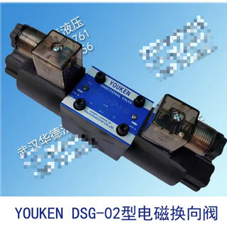 Youken hydraulic solenoid valve dsg-02-3c4-d24-n1-50