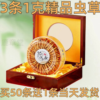 冬虫夏草（支持质检）虫草野外正宗冬虫夏草礼盒送长辈冬虫草滋补 西藏那曲3条一克合计50条装送1条