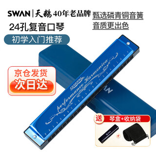 Swan 24-hole polyphonic teaching harmonica in c key (phoneme annotation) sky blue