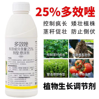 25 paclobutrazol controls growth, resists lodging and increases yield of wheat, corn, cotton, vegetables, flowers and fruit trees, plant growth regulator 1000g