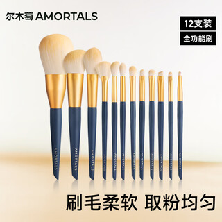 Amortals star makeup brushes 12 pieces (eye shadow brush, powder brush, blush brush) portable beauty tools holiday gift