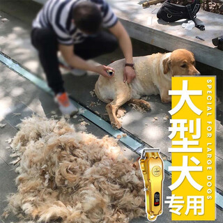 Pet clipper, professional shaver, high-power electric hair clipper for dog hair clippers, dog hair clipper for large dogs, pet shop special, silver, high-power, no hair jam