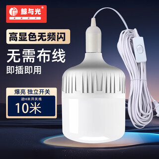 Whale and light led energy-saving light bulb with plug household plug-in e27 socket lamp with switch line super bright hanging small wall lamp 10 meters line