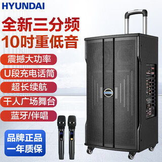 Hyundai korean modern high-power square dance speaker trolley speaker outdoor karaoke high volume mobile bluetooth stage speaker with microphone performance karaoke dance conference host 10-inch three-way 1600w + double wheat gift package