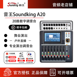 Sound king a20/dm20m dx20 digital mixer live stage effect mixer with effect reverb equalization a20-standard configuration