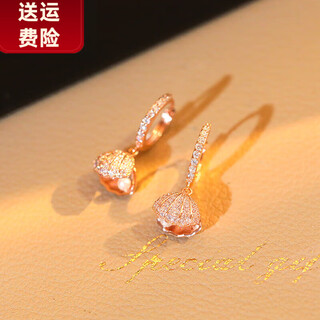 Dl 1998 rose gold earrings temperament earrings 2024 new micro-inlaid fashionable versatile earrings double layer round ts-220121