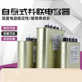 450v jiush condensador de potencia paralelo de bajo voltaje autocurativo eléctrico bmj0.45 gabinete de compensación de potencia reactiva 30-3 blanco 3kvar_x_450v