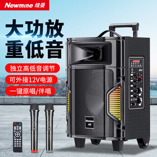 Newman a8 home outdoor bluetooth trolley speaker portable square dance audio electric acoustic guitar folk singing instrument speaker high-power amplifier street stall speaker dual microphone professional grade 8 inches + dual microphones + remote control