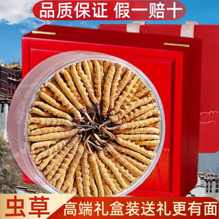 冬虫夏草 高海拔虫草礼盒装 多规格虫草礼物 送长辈滋补营养品 30根2根一克