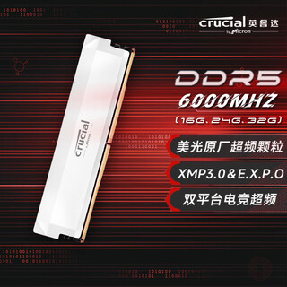 英睿达（crucial） 电竞 DDR5 PC5 台式机电脑游戏超频内存条 散热马甲条 镁光超频颗粒 Pro系列 DDR5 6000 [白] CL36 32GB 2条 （16Gx2）双通道 轻松超频