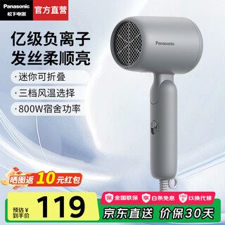Panasonic (panasonic) national subsidy small light-tube hair dryer household hair dryer high-power quick-drying mini hair care does not damage the hair student dormitory girlfriend birthday gift eh-ne4h gray billion-level negative ion hair care + 800w power ne4g-h