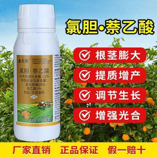 Golden chunk choline chloride naphthalene acetic acid expansion sweet potato garlic rhizome tuber underground crop expansion growth regulator 500g