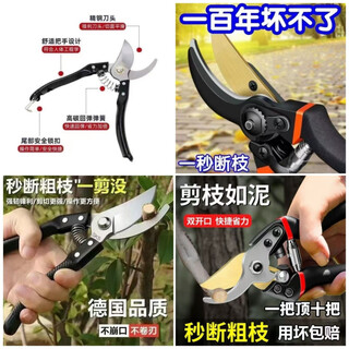 Chaosihui german craft steel branch shears, tree scissors, fruit tree shears, pruning scissors for household flowers, trees and grapes to prune branches, german steel blades) national rapid clearance (original german) thick branch shears (super fast + strength)