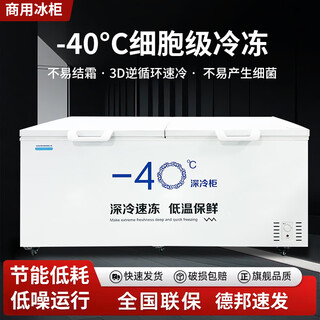 Flavi low-temperature refrigeration freezer minus 40 degrees minus 50 degrees minus 60 degrees household commercial quick-freezing large-capacity freezer refrigerator ultra-low temperature freezer seafood deep-cooling quick-freezer 1288 minus 40 degrees