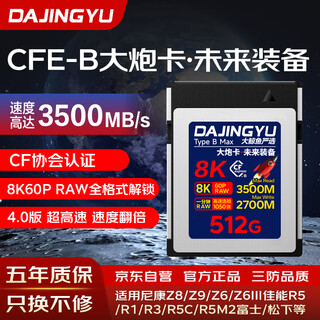 DAJINGYU大鲸鱼cfexpress存储卡CFE Type B高速相机内存卡适用尼康佳能富士松下4.0版CFE-B大炮卡未来-512G
