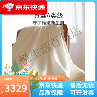 Silkworm queen silk cotton double-sided blanket baby type a thin quilt spring and summer mulberry silk newborn blanket milky white