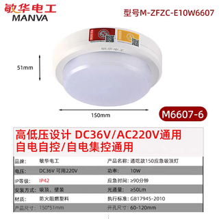 Man wah electrician man wah fire emergency evacuation lighting surface mounted ceiling light aisle corridor light led corridor light emergency lighting high and low voltage universal model-man wah emergency ceiling light