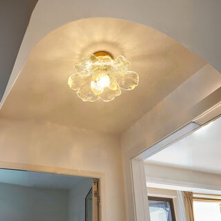 Petal aisle light corridor modern simple internet celebrity balcony light stair light entry entrance cloakroom ceiling lamp petal clear light style (three color changing light)