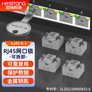 恒瑞斯通RJ45网口锁可拆卸封口塞防尘塞网络端口安全锁保护数据 灰色100个锁+2把钥匙