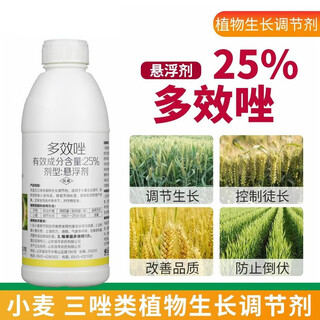 25% paclobutrazol citrus lychee fruit tree rice wheat growth control agent chlormequat pesticide plant growth regulator 500g