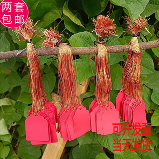 Ben xinnong étiquette de jardinage étiquette de fleur étiquette de plante étiquette de semis étiquette succulente étiquette en plastique étiquette de fleur 3 4.5 rouge 100 feuilles