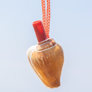 Magic bean shenghuo natural conch trumpet whistle children's trumpet toy small conch horn creative gift large conch horn yellow conch horn 5-7cm 1 piece