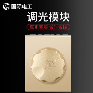 International electrician type 118 switch socket panel brushed gold power supply one, two, three and four position frame module functional parts dimming module