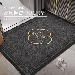 Xinglianxin entrance door mat 2025 new door carpet stain-resistant no-wash household foot mat entrance door mat 80x120cm