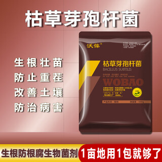 Wobao bacillus subtilis anti-root rot soil-borne disease microbial agent highly active water-soluble fertilizer microbial agent bacillus subtilis 200g*1 bag