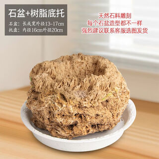Absorbent stone flower pot, natural strange stone, absorbent stone, water-absorbing stone, raw stone stone pot, calamus succulent potted plant, bonsai micro-scape, 13-17cm stone pot + round bottom + grass seeds